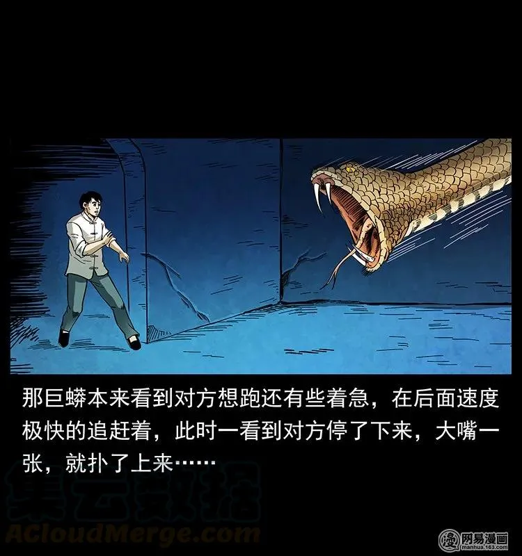 139 巨兽凶蟒 第29页