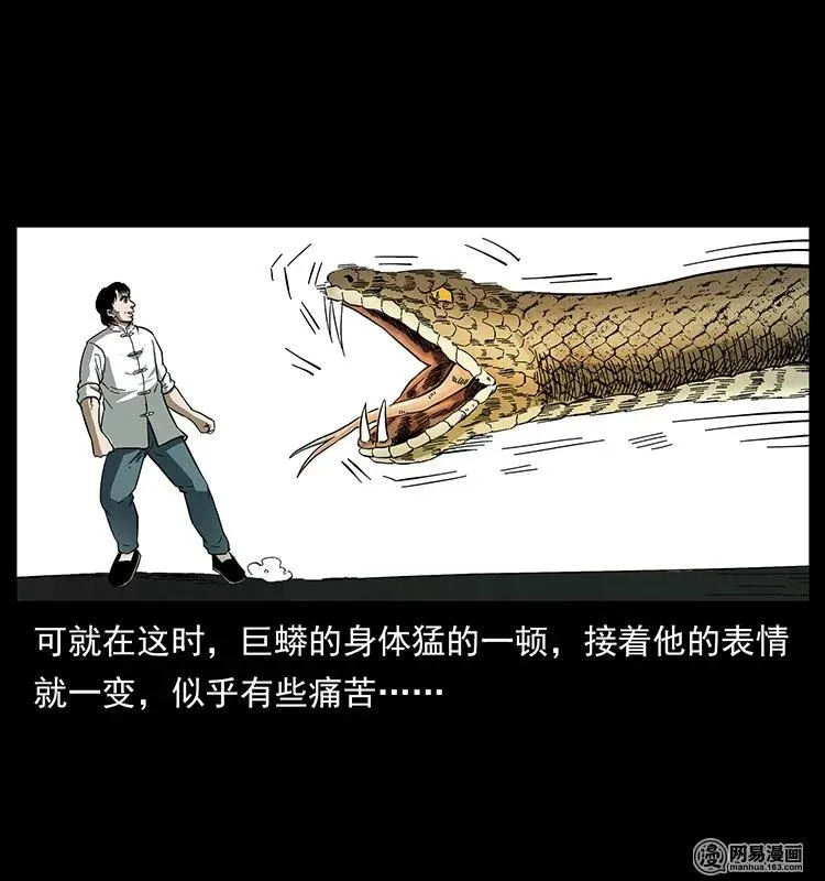 139 巨兽凶蟒 第31页
