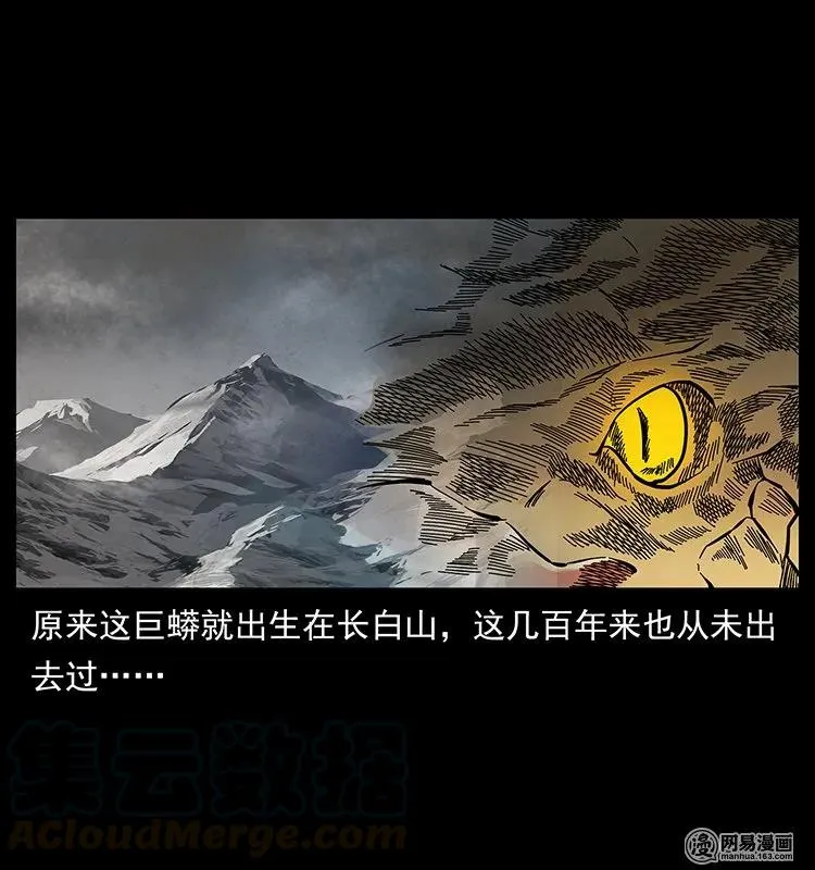 139 巨兽凶蟒 第41页