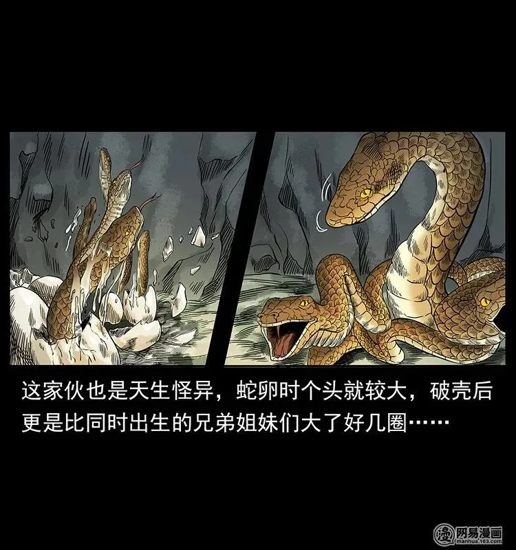 139 巨兽凶蟒 第42页