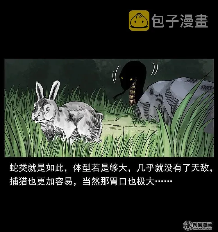 139 巨兽凶蟒 第43页