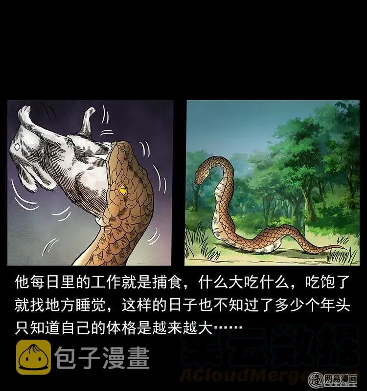139 巨兽凶蟒 第45页