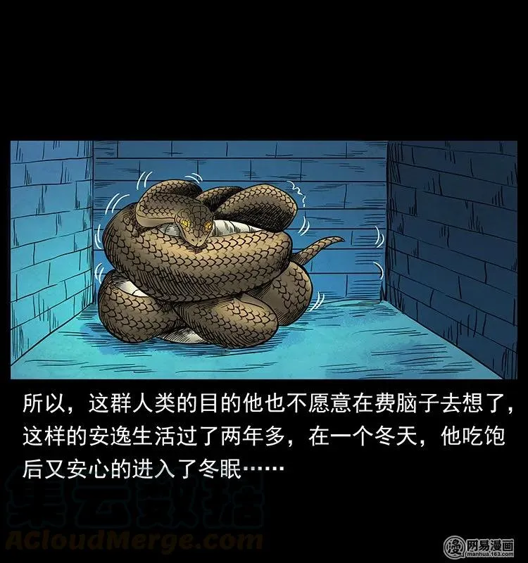 139 巨兽凶蟒 第61页