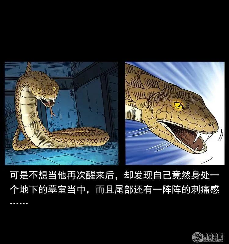 139 巨兽凶蟒 第62页