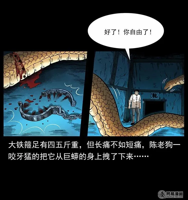 139 巨兽凶蟒 第74页