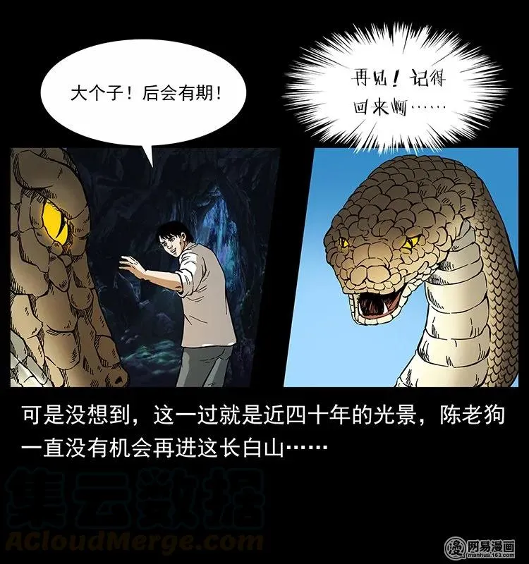 139 巨兽凶蟒 第85页