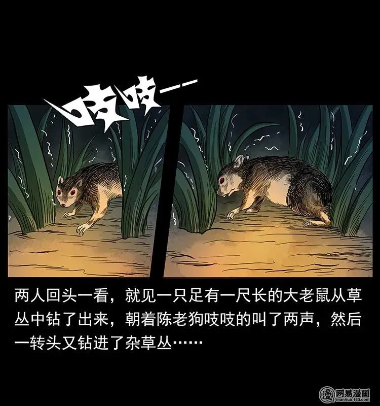 138 长白寻妖 第11页