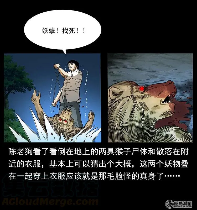 138 长白寻妖 第41页