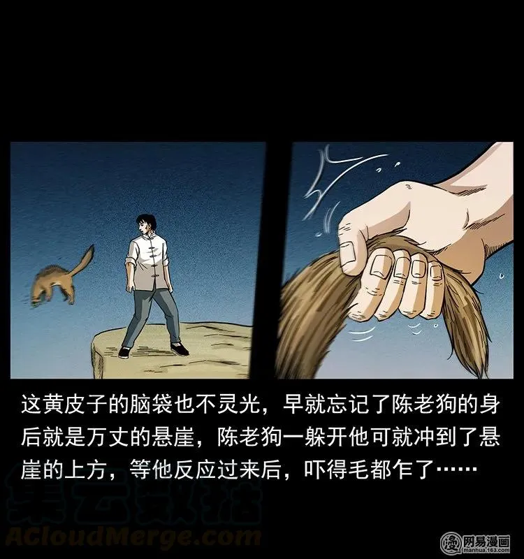 141 进山 第53页