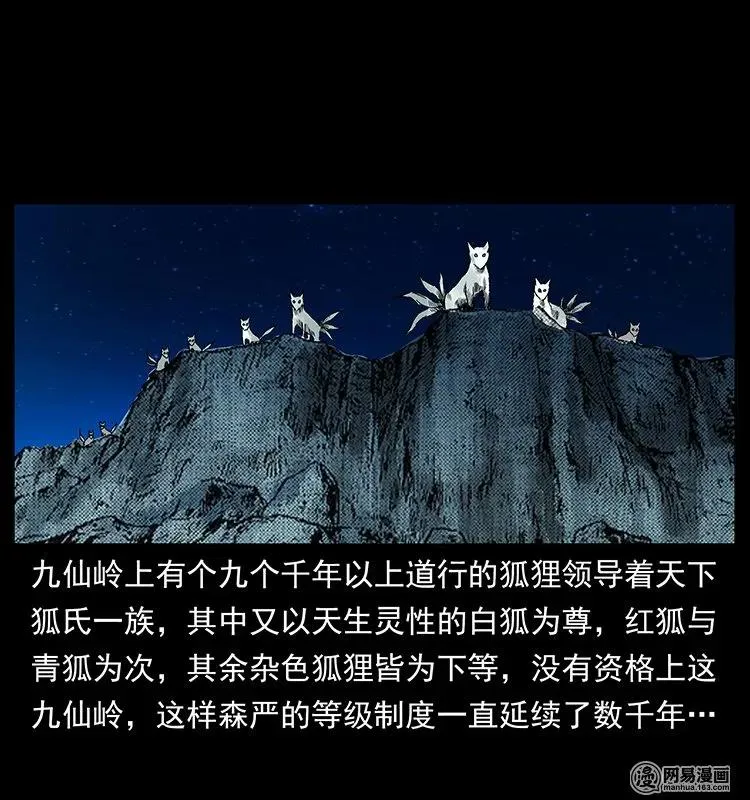 142 黑狐 第15页