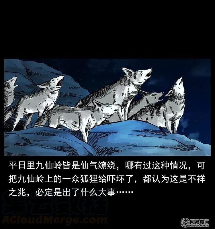 142 黑狐 第17页