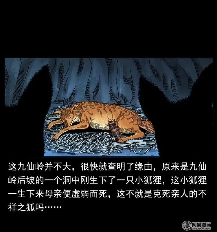 142 黑狐 第18页
