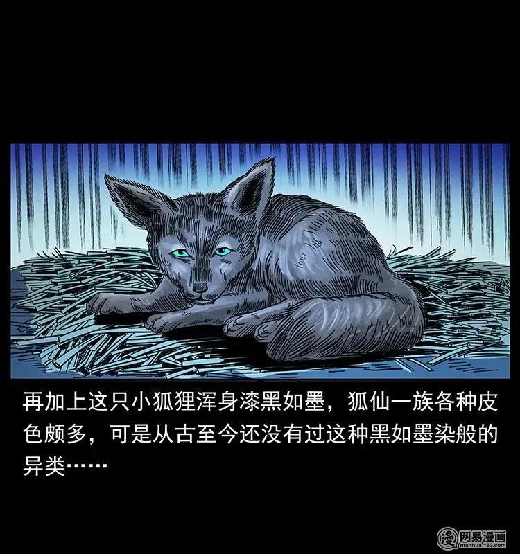 142 黑狐 第19页