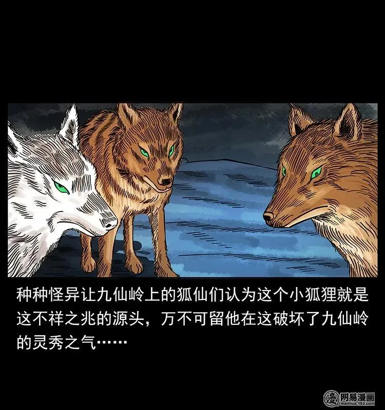 142 黑狐 第20页