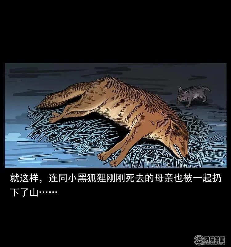 142 黑狐 第22页