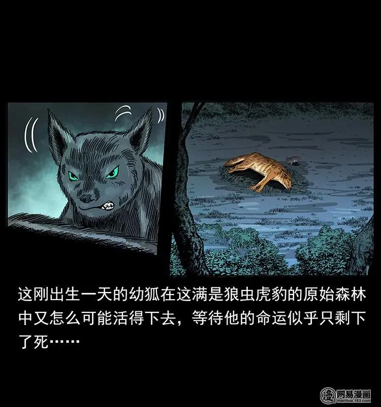 142 黑狐 第23页