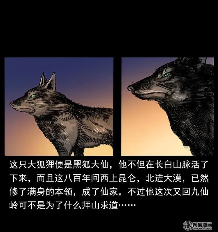 142 黑狐 第26页