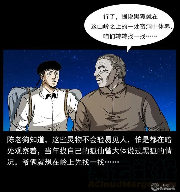 143 出马黑狐 第5页