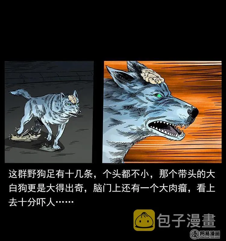 151 京西烧骨塔（下） 第59页