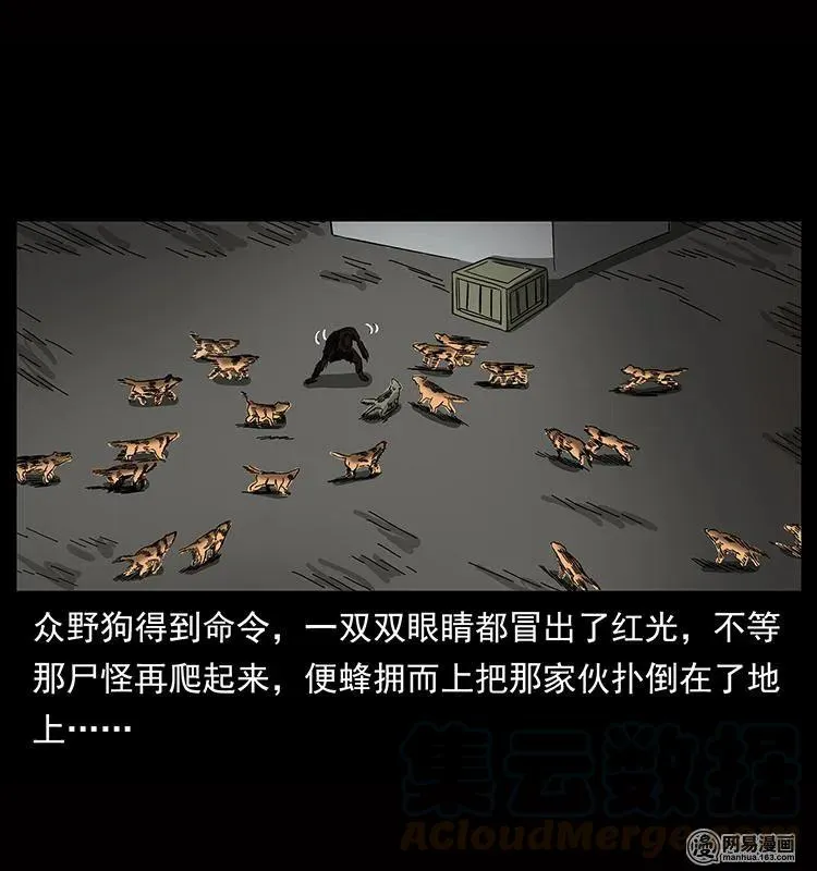 151 京西烧骨塔（下） 第73页