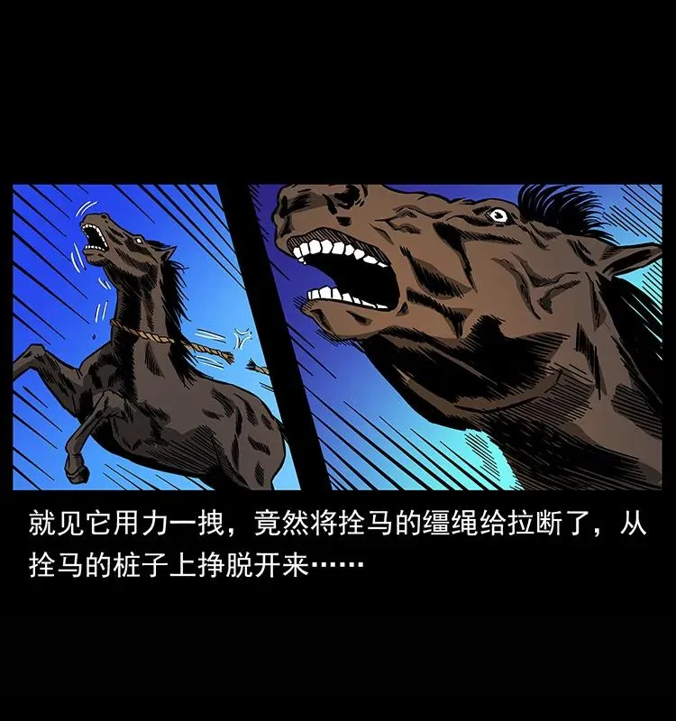 157 妖驹驮尸 第28页