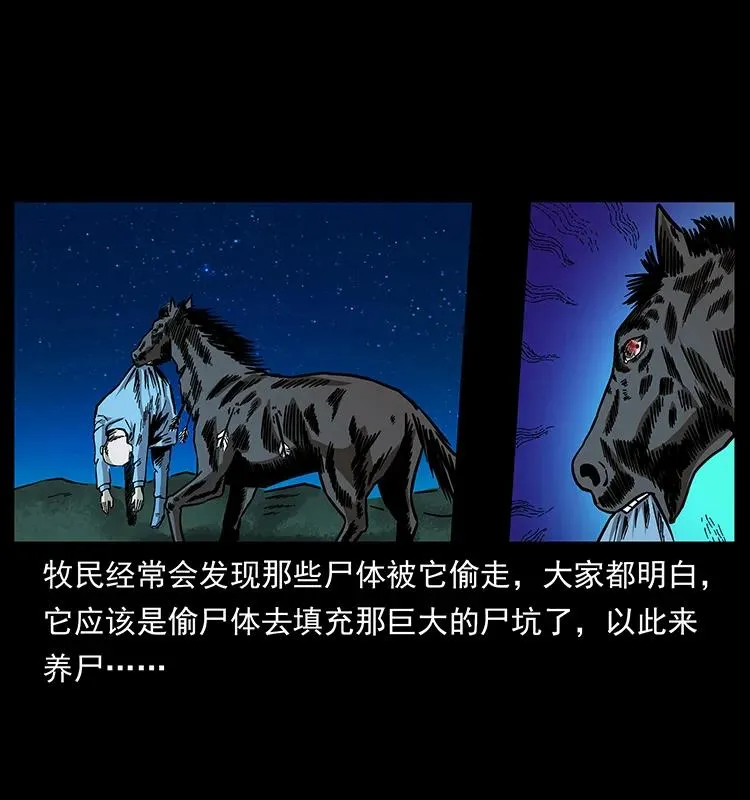 157 妖驹驮尸 第88页