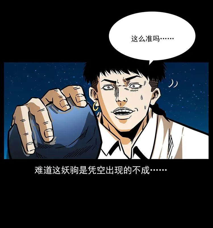 158 妖驹的选择 第15页