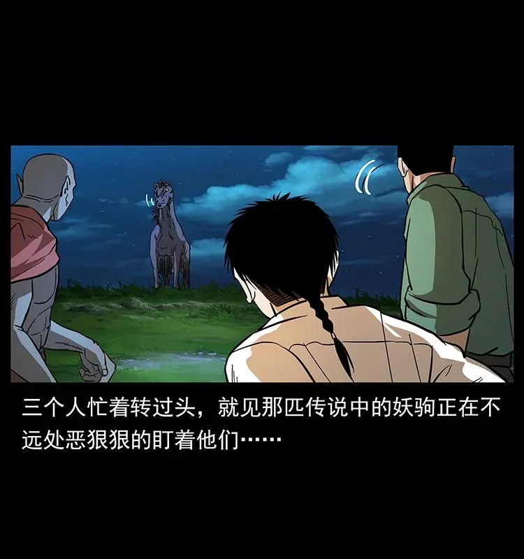 158 妖驹的选择 第16页