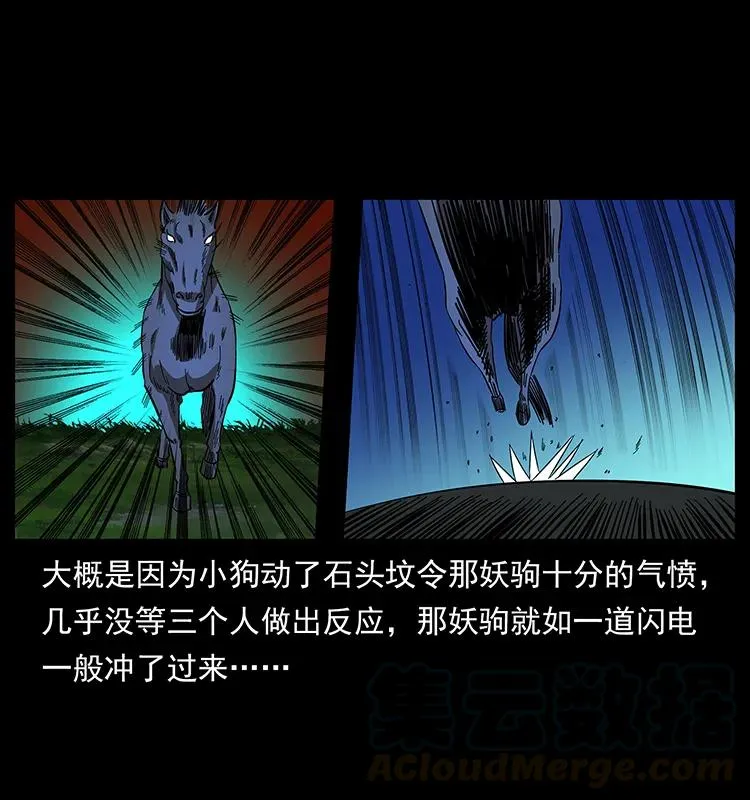 158 妖驹的选择 第17页