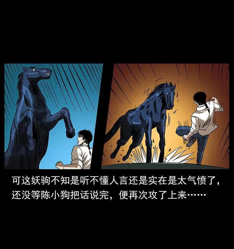 158 妖驹的选择 第22页