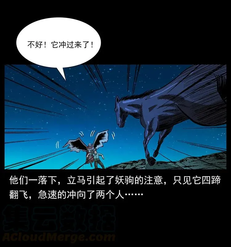 158 妖驹的选择 第25页
