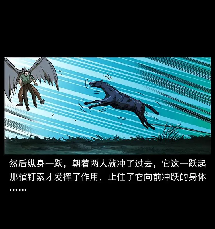 158 妖驹的选择 第30页