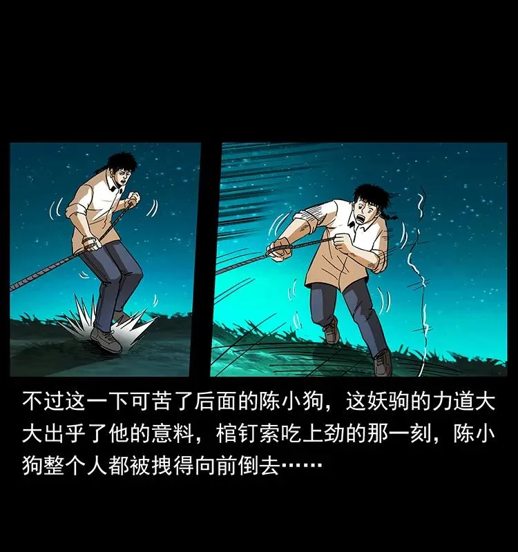 158 妖驹的选择 第31页