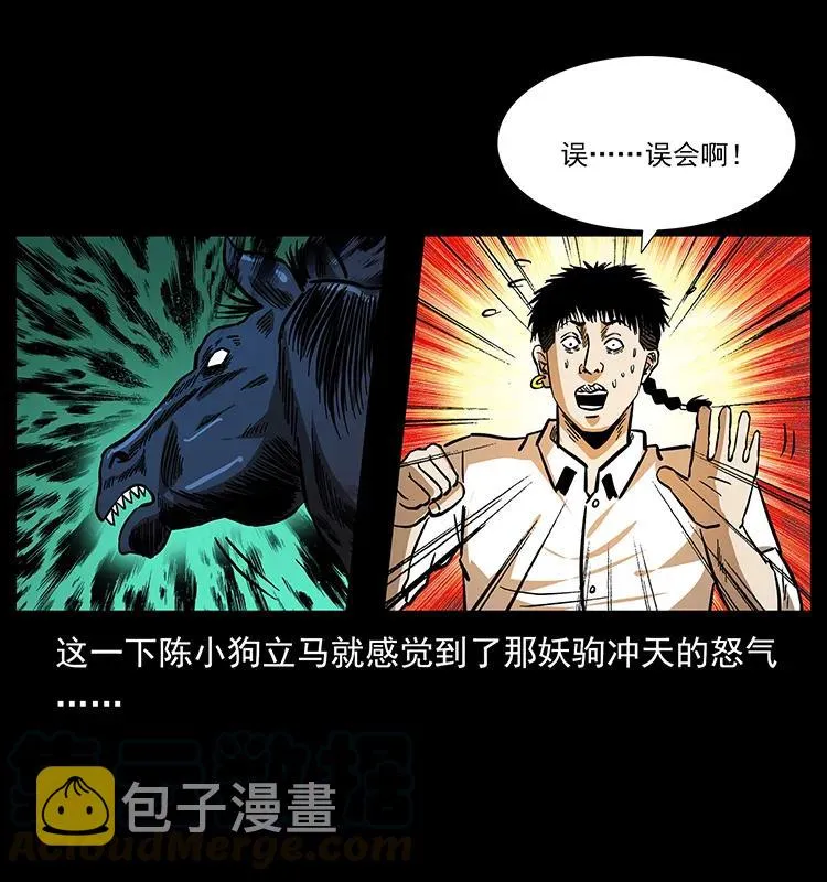 158 妖驹的选择 第33页
