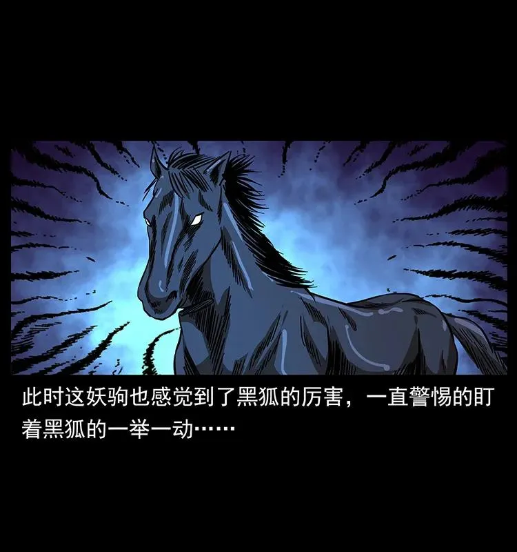 158 妖驹的选择 第40页