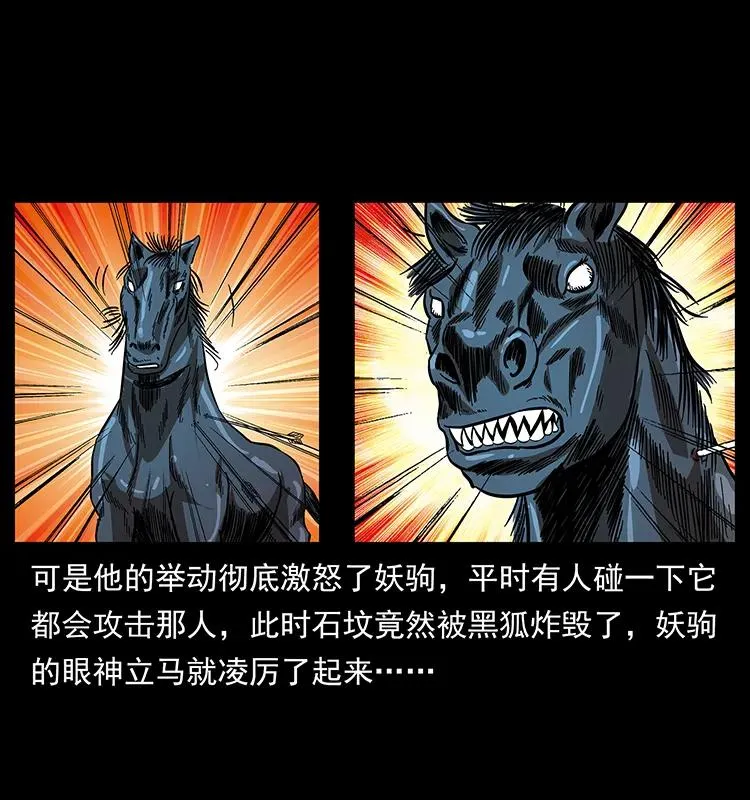 158 妖驹的选择 第44页