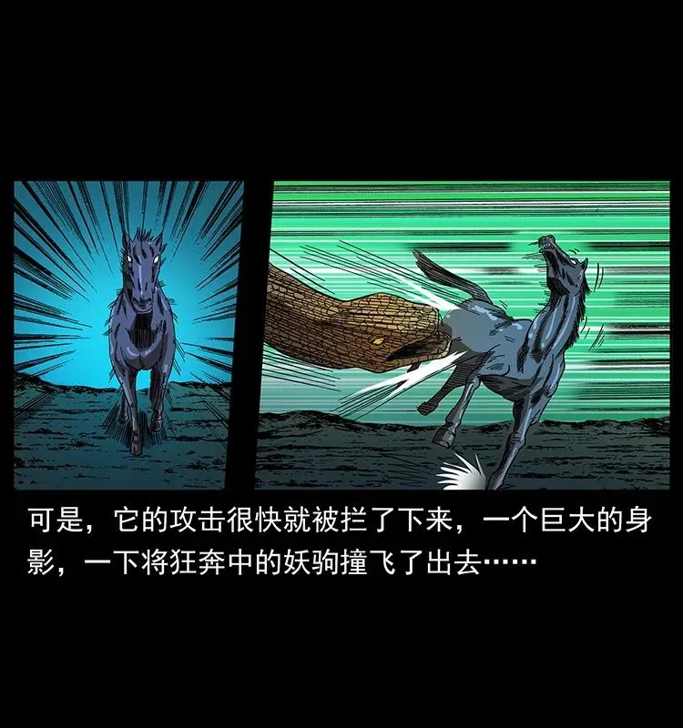 158 妖驹的选择 第46页