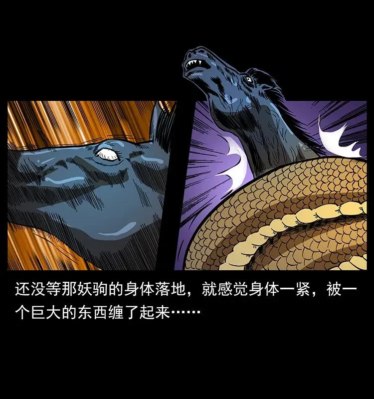158 妖驹的选择 第47页