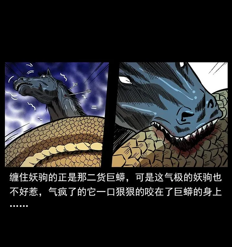 158 妖驹的选择 第48页