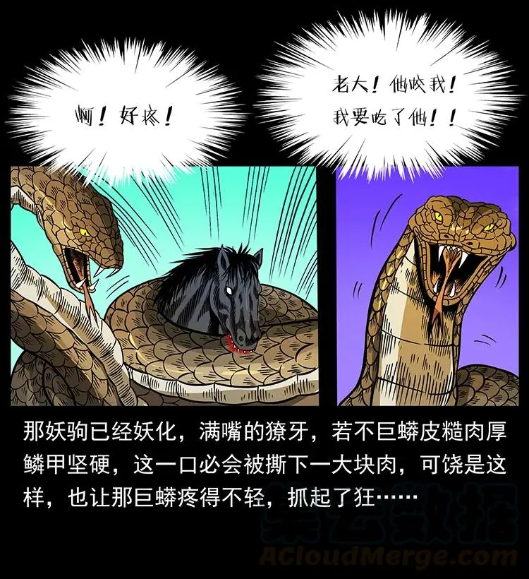 158 妖驹的选择 第49页