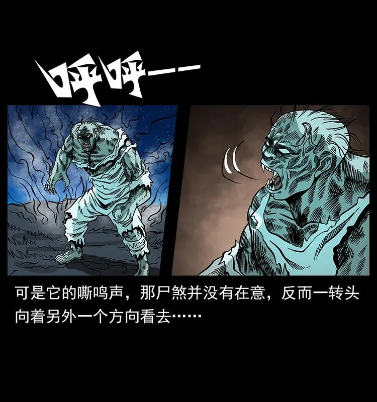 158 妖驹的选择 第56页