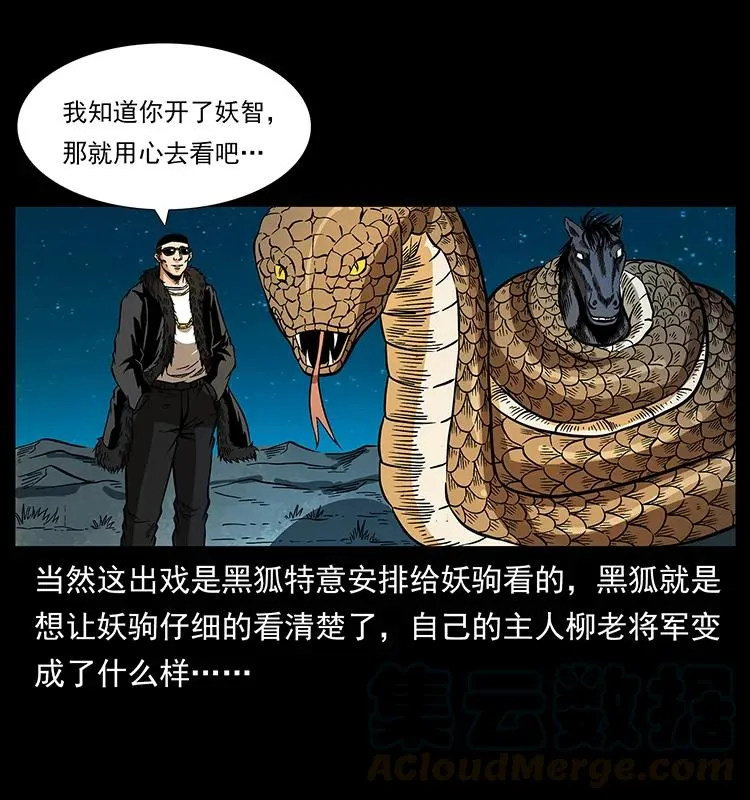 158 妖驹的选择 第61页