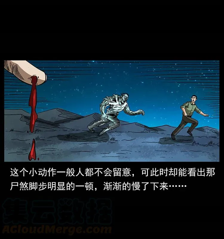 158 妖驹的选择 第69页