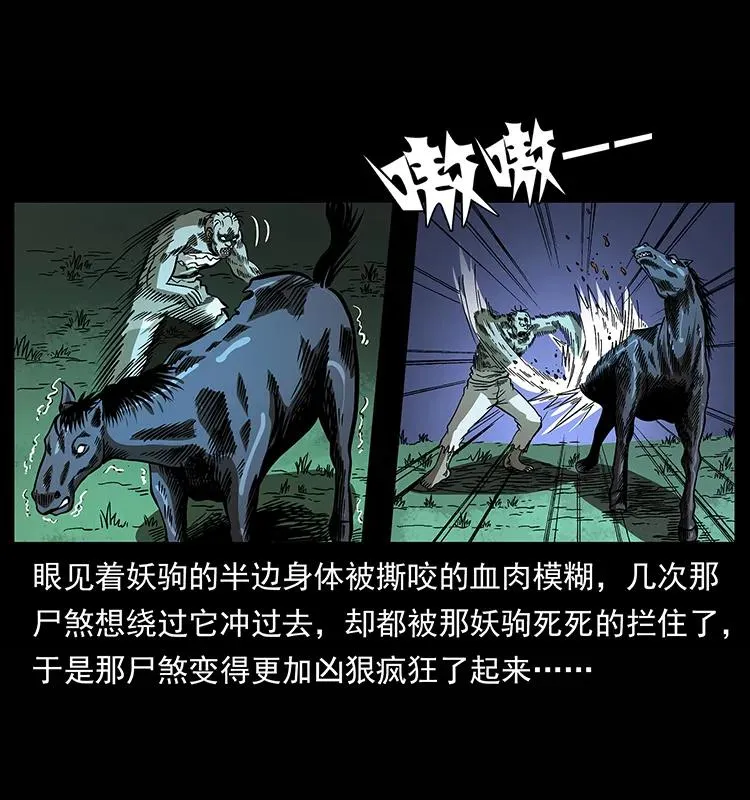 158 妖驹的选择 第78页