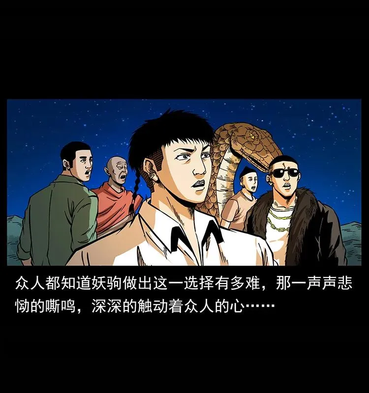 158 妖驹的选择 第90页