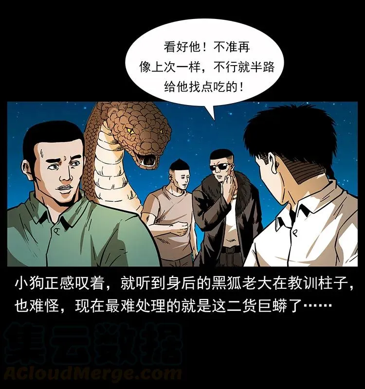 160 李老太太 第17页