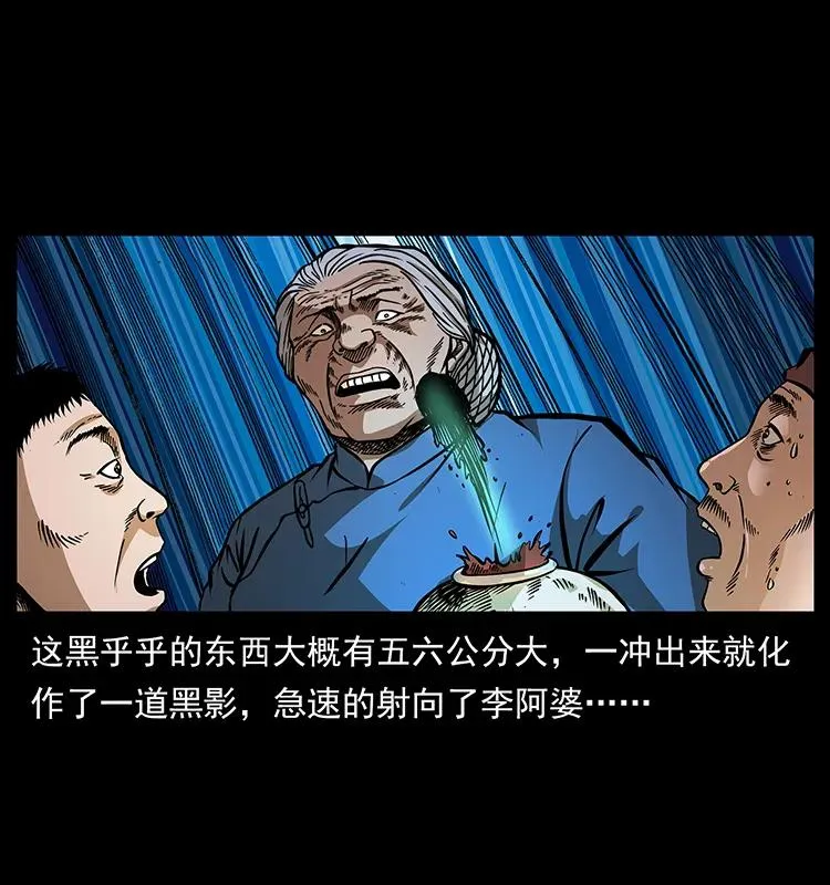 160 李老太太 第46页