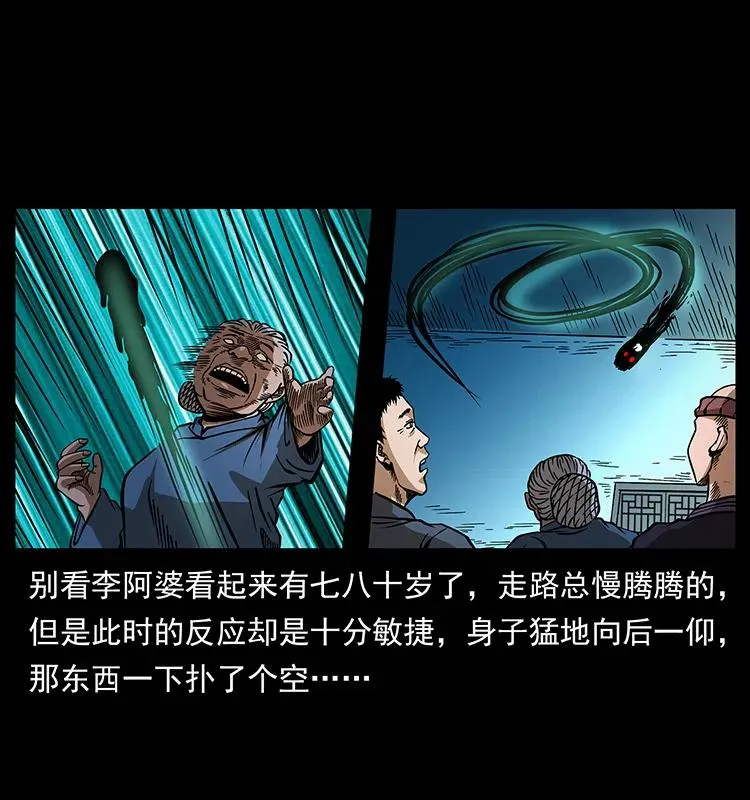 160 李老太太 第47页