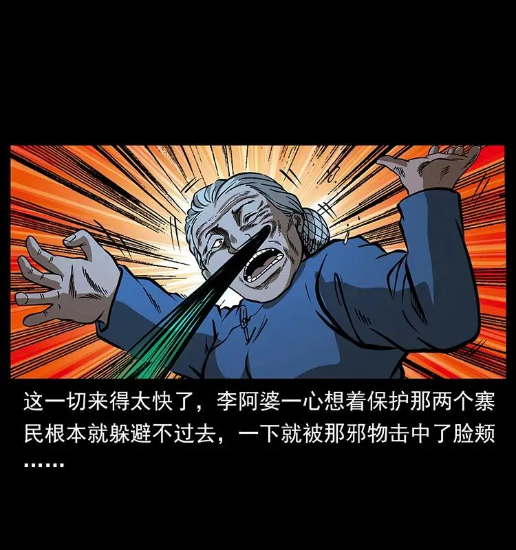 160 李老太太 第51页