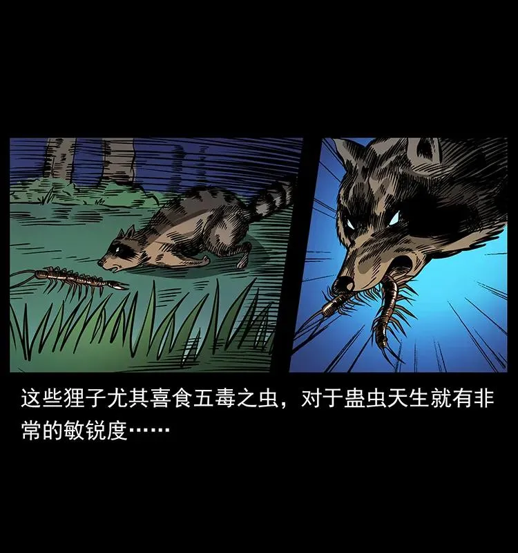161 虫佛 第16页